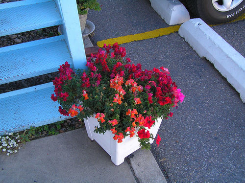 Hiway House Motel Albuquerque Exteriör bild